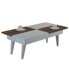 Sohvapöytä Kalune Design 731(IV), valkoinen/ruskea hinta ja tiedot | Sohvapöydät | hobbyhall.fi
