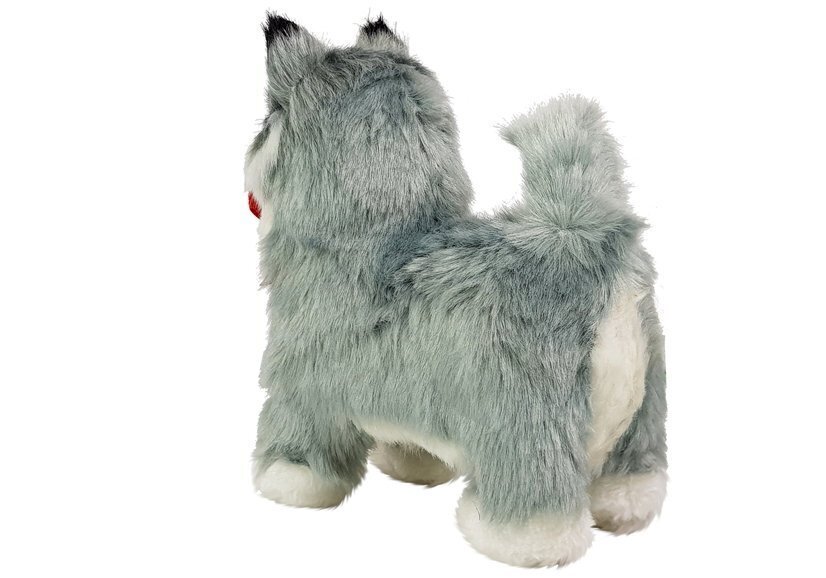 Interaktiivinen koira, husky hinta ja tiedot | Pehmolelut | hobbyhall.fi