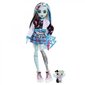 Monster High Core Frankie, Nukke tarvikkeineen hinta ja tiedot | Tyttöjen lelut | hobbyhall.fi