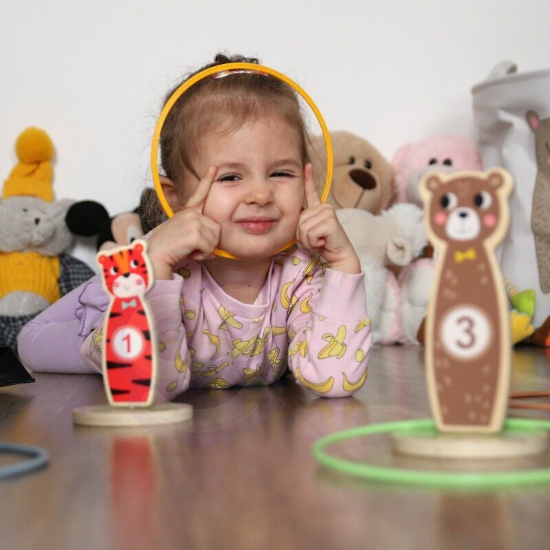 Puinen rengasheittopeli, Tooky Toy hinta ja tiedot | Kehittävät lelut | hobbyhall.fi