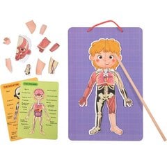 Puinen magneettinen palapeli, ihmisen anatomia, Tooky Toy hinta ja tiedot | Kehittävät lelut | hobbyhall.fi