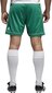 Adidas Shortsit Squad 17 Shorts Green hinta ja tiedot | Miesten shortsit | hobbyhall.fi