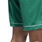 Adidas Shortsit Squad 17 Shorts Green hinta ja tiedot | Miesten shortsit | hobbyhall.fi