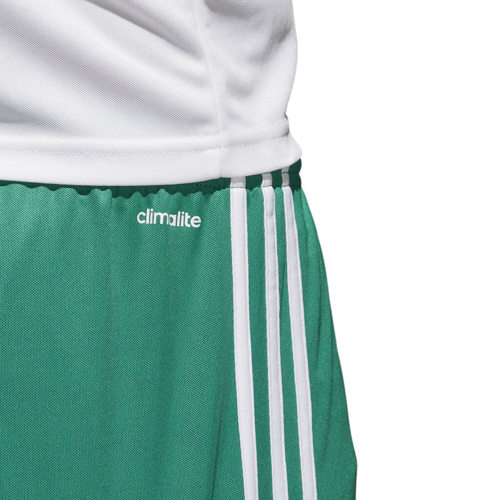 Adidas Shortsit Squad 17 Shorts Green hinta ja tiedot | Miesten shortsit | hobbyhall.fi