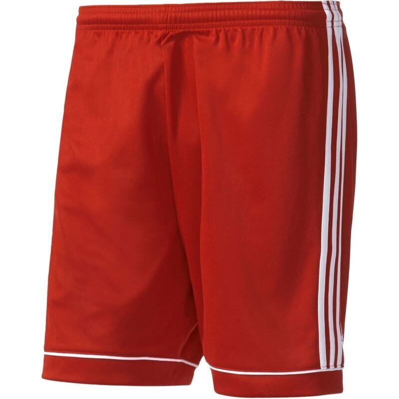 Adidas Shortsit Squad 17 Shorts Red hinta ja tiedot | Miesten shortsit | hobbyhall.fi