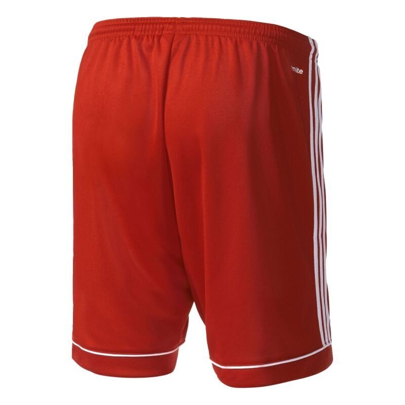 Adidas Shortsit Squad 17 Shorts Red hinta ja tiedot | Miesten shortsit | hobbyhall.fi