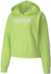 Puma Jumpperi Modern Sports Hoodie Sharp Green hinta ja tiedot | Miesten puserot ja hupparit | hobbyhall.fi