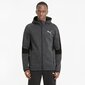 Puma huppari Evostripe FZ Hood Grey hinta ja tiedot | Miesten puserot ja hupparit | hobbyhall.fi