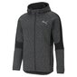 Puma huppari Evostripe FZ Hood Grey hinta ja tiedot | Miesten puserot ja hupparit | hobbyhall.fi