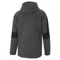 Puma huppari Evostripe FZ Hood Grey hinta ja tiedot | Miesten puserot ja hupparit | hobbyhall.fi