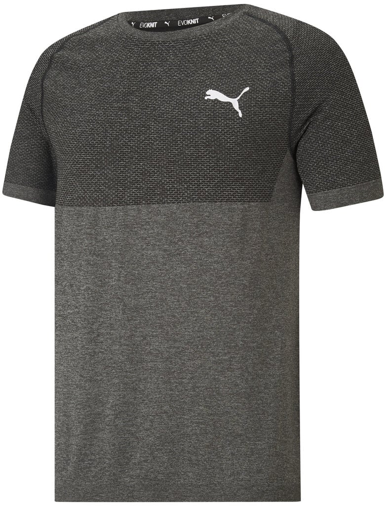 Puma T-paita Rtg Evoknit Basic Grey hinta ja tiedot | Miesten urheiluvaatteet | hobbyhall.fi