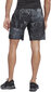 Reebok Shortsit Ts Epic Ltwt Aop Grey hinta ja tiedot | Miesten urheiluvaatteet | hobbyhall.fi