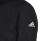 Adidas Takit Hooded Parka Black hinta ja tiedot | Miesten ulkoilutakit | hobbyhall.fi