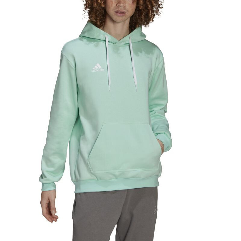 Adidas huppari Ent22 Hoody Mint HC5081 hinta ja tiedot | Miesten puserot ja hupparit | hobbyhall.fi