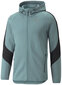 Puma Jumpperi Evostripe Full-Zip Mint 847401 50 hinta ja tiedot | Miesten puserot ja hupparit | hobbyhall.fi