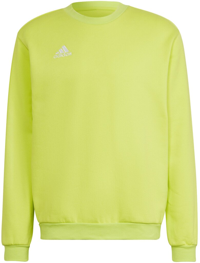 Adidas Jumpperi Ent22 Sw Top Yellow HC5049 hinta ja tiedot | Miesten puserot ja hupparit | hobbyhall.fi