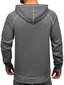 J.Style Jumpperi Fleece Grey 8B152-5 hinta ja tiedot | Miesten puserot ja hupparit | hobbyhall.fi