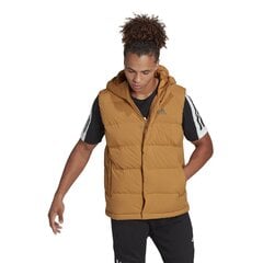 Adidas Liivit Helionic Vest Yellow HG6275 hinta ja tiedot | Miesten liivit | hobbyhall.fi