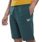 Reebok Shortsit Ri Left Leg Logo Short Green HM5349 hinta ja tiedot | Miesten shortsit | hobbyhall.fi