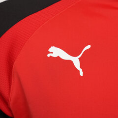 Puma Jumpperi TeamLiga 1/4 Zip Top Red Black 657236 01 hinta ja tiedot | Miesten puserot ja hupparit | hobbyhall.fi