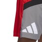 Adidas Shortsit Galaxy Short Grey Red HE2902 hinta ja tiedot | Miesten shortsit | hobbyhall.fi