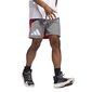 Adidas Shortsit Galaxy Short Grey Red HE2902 hinta ja tiedot | Miesten shortsit | hobbyhall.fi