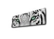 Jäljennös Tiger Eyes 3090DACT-19 hinta ja tiedot | Taulut | hobbyhall.fi