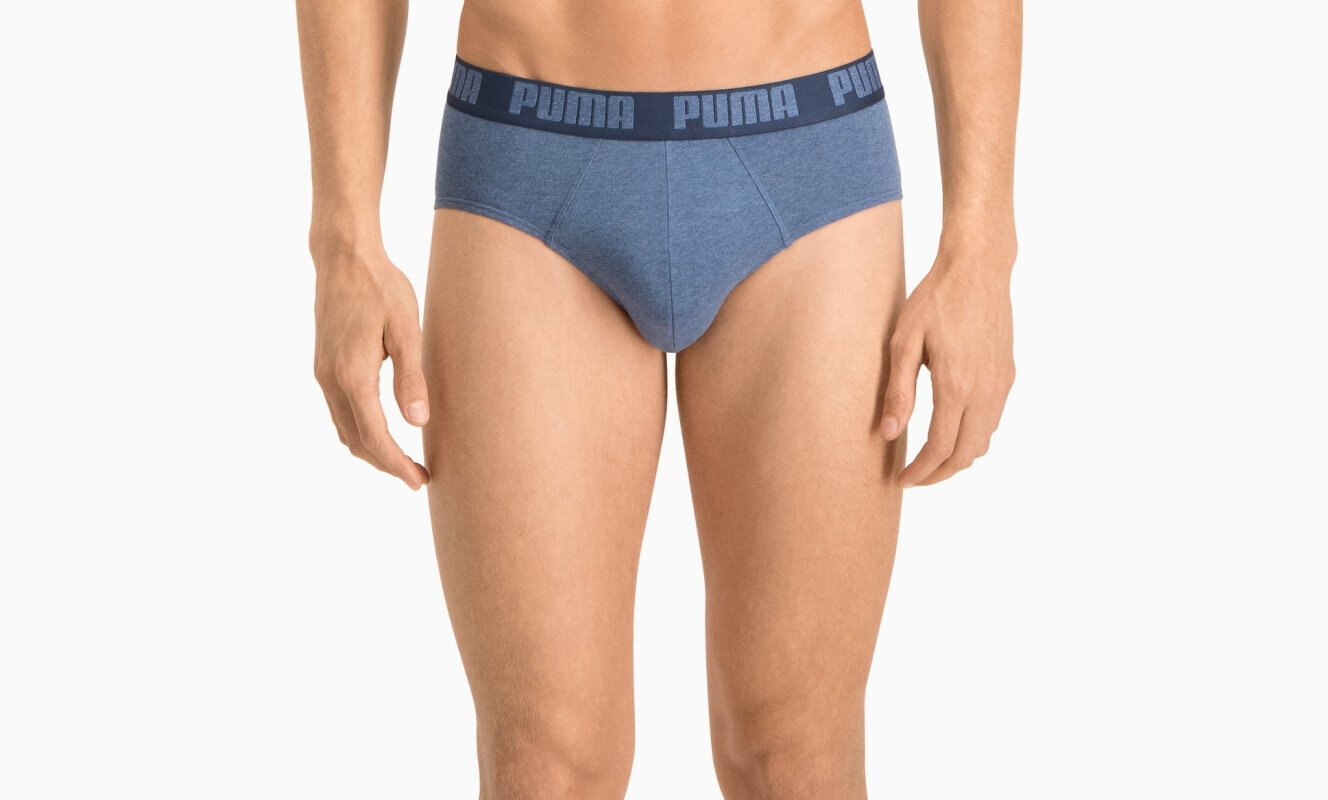 Puma Alusvaatteet Basic Brief Blue hinta ja tiedot | Miesten alushousut | hobbyhall.fi