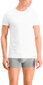 Puma T-paita Basic 2p Cre White 935016 02 hinta ja tiedot | Miesten aluspaidat | hobbyhall.fi