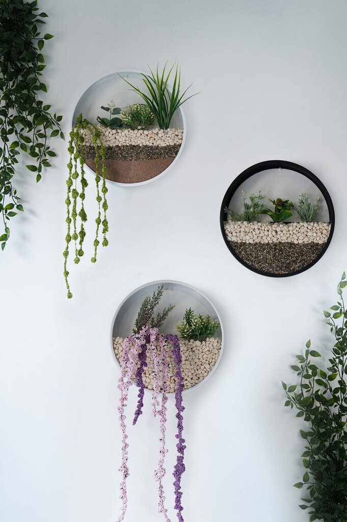 Seinäkoriste Plants In Circles, 1 kpl hinta ja tiedot | Sisustustuotteet | hobbyhall.fi