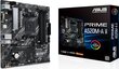 Asus AM4 ASUS PRIME A520M-A II mATX hinta ja tiedot | Emolevyt | hobbyhall.fi