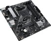 Asus AM4 ASUS PRIME A520M-A II mATX hinta ja tiedot | Emolevyt | hobbyhall.fi