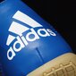 Adidas Jalkineet ACE 17.4 SALA Blue hinta ja tiedot | Miesten urheilu- ja vapaa-ajan kengät | hobbyhall.fi
