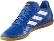 Adidas Jalkineet ACE 17.4 SALA Blue hinta ja tiedot | Miesten urheilu- ja vapaa-ajan kengät | hobbyhall.fi