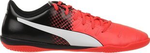 Puma Jalkineet Evopower 4.3 IT Red Black hinta ja tiedot | Miesten kengät | hobbyhall.fi