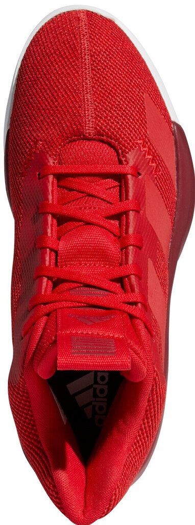 Adidas Jalkineet Pro Next 2019 Red hinta ja tiedot | Miesten urheilu- ja vapaa-ajan kengät | hobbyhall.fi