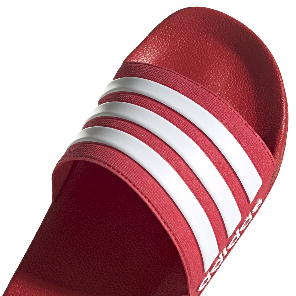 Adidas Tossut Adilette Shower Red hinta ja tiedot | Miesten sandaalit ja tossut | hobbyhall.fi