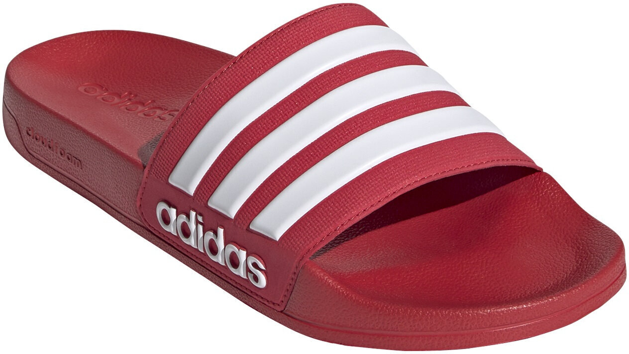 Adidas Tossut Adilette Shower Red hinta ja tiedot | Miesten sandaalit ja tossut | hobbyhall.fi