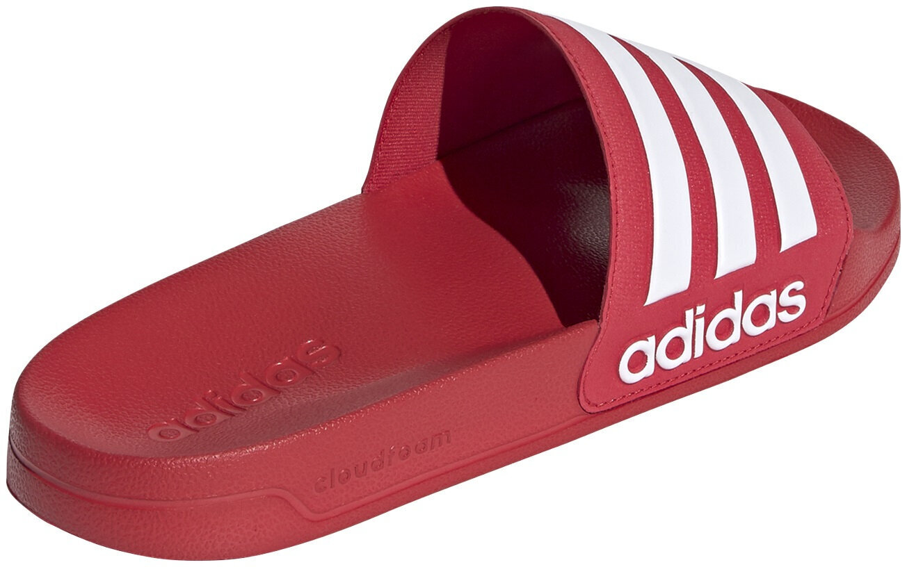 Adidas Tossut Adilette Shower Red hinta ja tiedot | Miesten sandaalit ja tossut | hobbyhall.fi