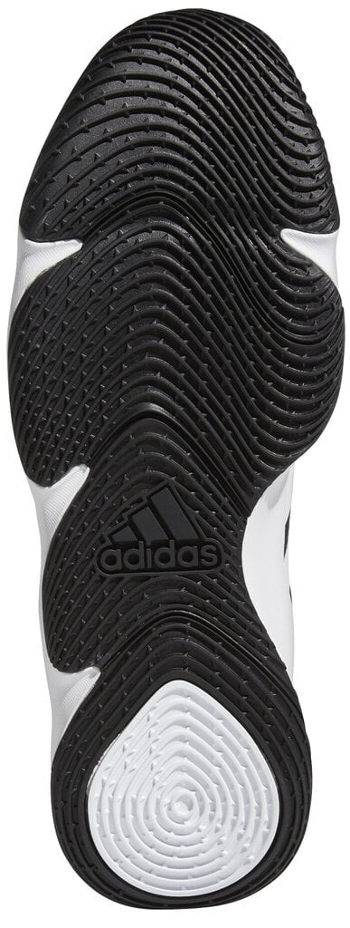 Adidas Jalkineet Pro N3xt 2021 Black White G58892 hinta ja tiedot | Miesten urheilu- ja vapaa-ajan kengät | hobbyhall.fi