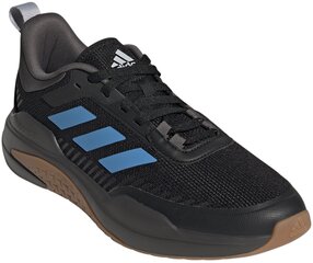 Adidas Jalkineet Trainer V Blue Black GW4056 hinta ja tiedot | Miesten urheilu- ja vapaa-ajan kengät | hobbyhall.fi