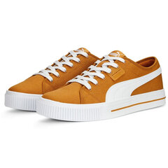 Puma Jalkineet Ever Fs Cv Desert Clay Brown 386393 05 hinta ja tiedot | Miesten urheilu- ja vapaa-ajan kengät | hobbyhall.fi