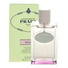 Prada Infusion d`Oeillet EDP, 100ml hinta ja tiedot | Naisten hajuvedet | hobbyhall.fi