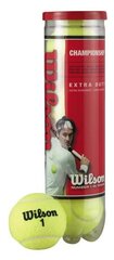 Tennispallot Wilson MESTAUS hinta ja tiedot | Wilson Mailapelit | hobbyhall.fi