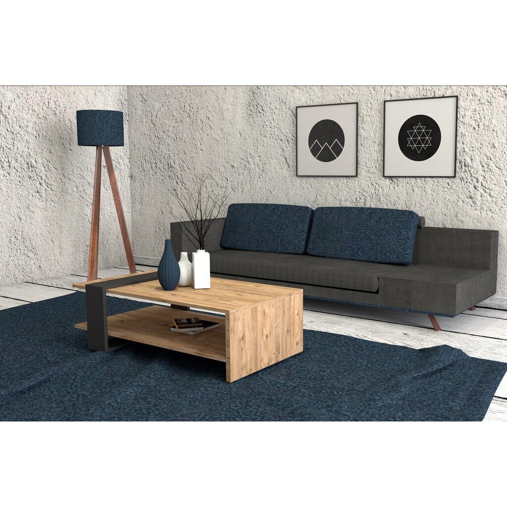 Sohvapöytä Kalune Design Ova, ruskea/harmaa hinta ja tiedot | Sohvapöydät | hobbyhall.fi