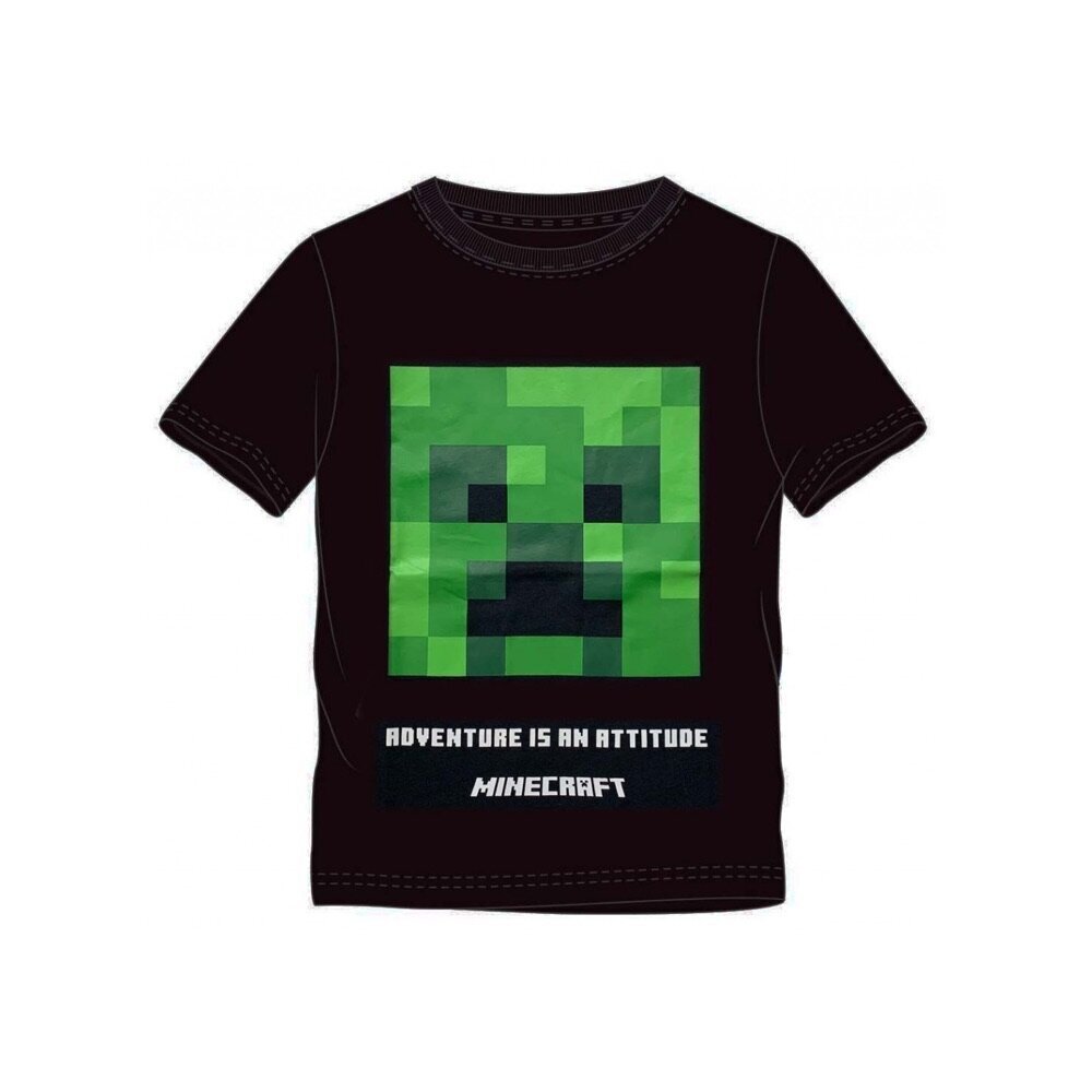 T-paita Minecraft hinta ja tiedot | Poikien paidat | hobbyhall.fi