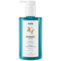 Hiustenhoitoaine Yope Hydrate, 300ml hinta ja tiedot | Hoitoaineet | hobbyhall.fi