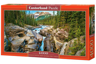 Palapeli Mistaya Canyon, Banff N.P., Canada, 4000 osaa hinta ja tiedot | Palapelit | hobbyhall.fi