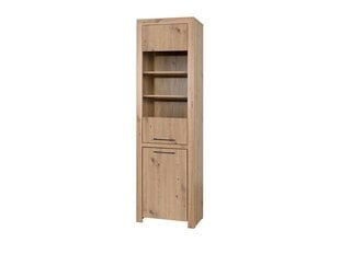 Vitriini ADRK Furniture Janez, ruskea hinta ja tiedot | Vitriinit | hobbyhall.fi