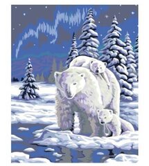 Maalaus numeroiden mukaan "Karhut lumessa" 40x50 hinta ja tiedot | Maalaa numeroiden mukaan | hobbyhall.fi
